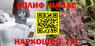 гашик Заводоуковск