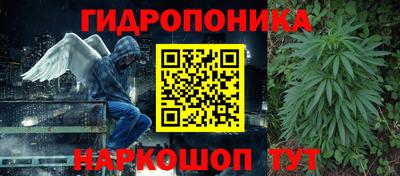 гашик Заводоуковск