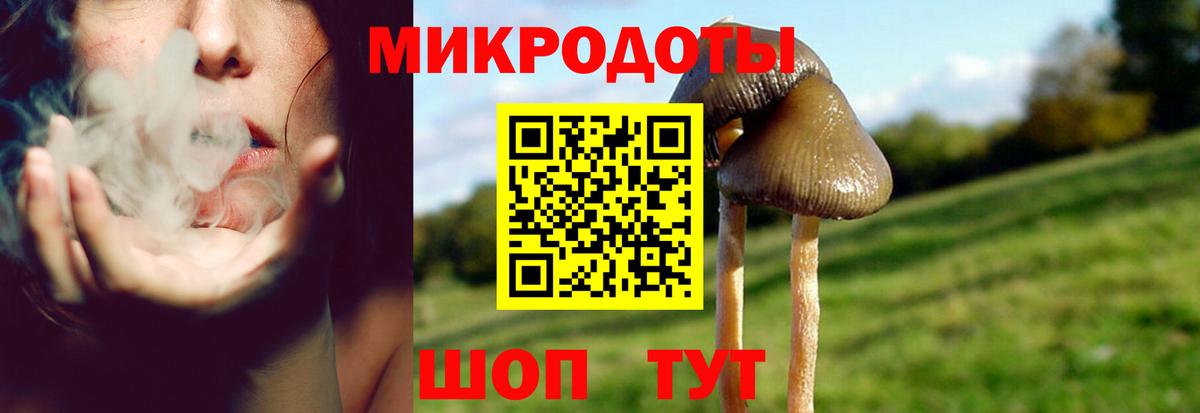 Галлюциногенные грибы GOLDEN TEACHER  Вход с VPN  Менделеевск 